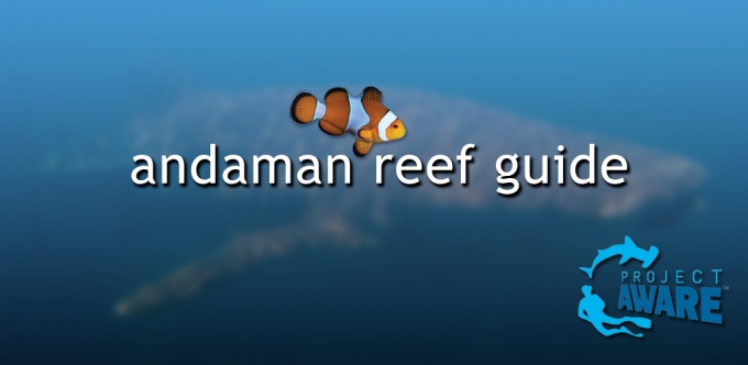 Andaman Reef Guide diving thailand